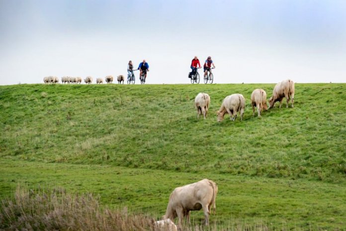 Zeeland Zierikzee fietsroute