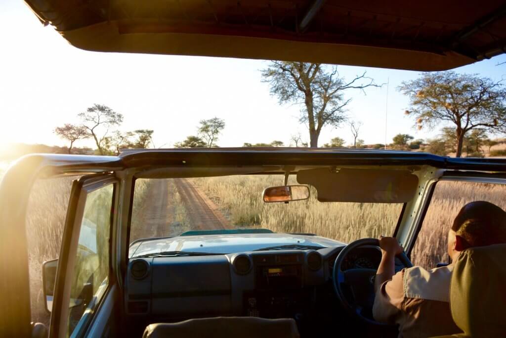 De mooiste stop op een roadtrip door Namibië