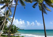 Air Belgium vliegt rechtstreeks naar Franse Antillen Martinique