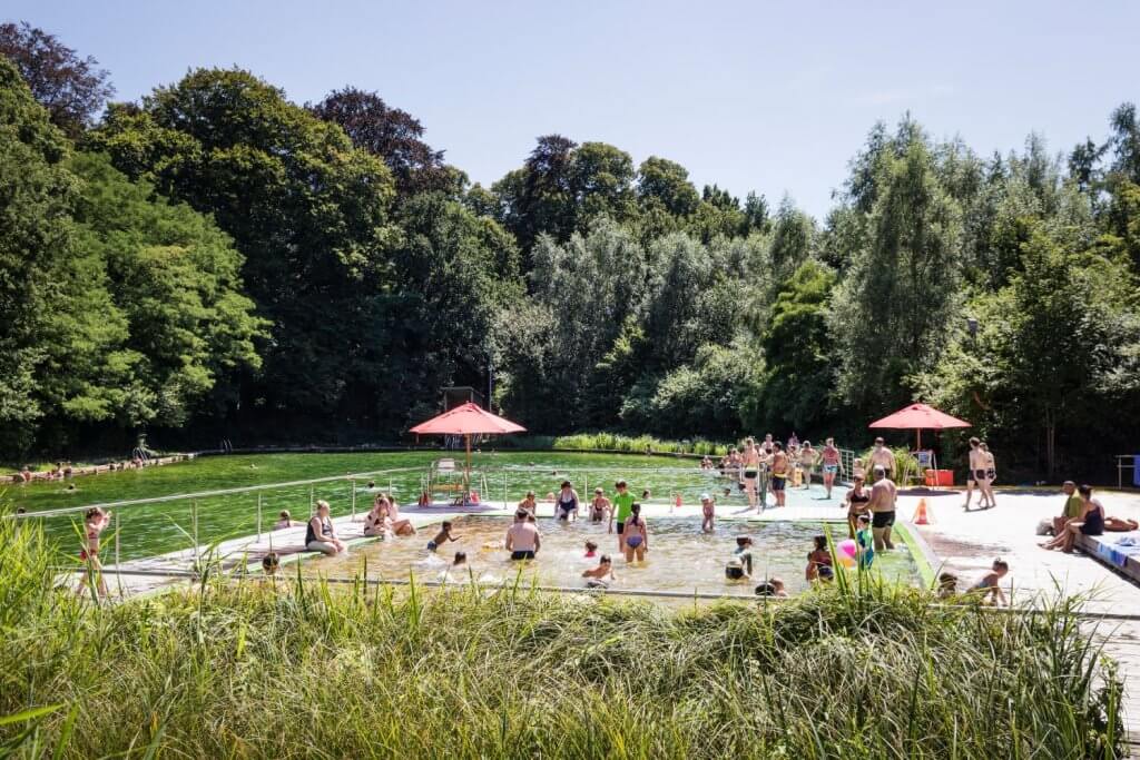 7x waterpret in eigen land ecologische zwemvijver Boekenbergpark Deurne Antwerpen