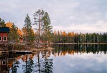 Zweeds Lapland in de herfst: 5 redenen om te gaan Lapland in de herfst