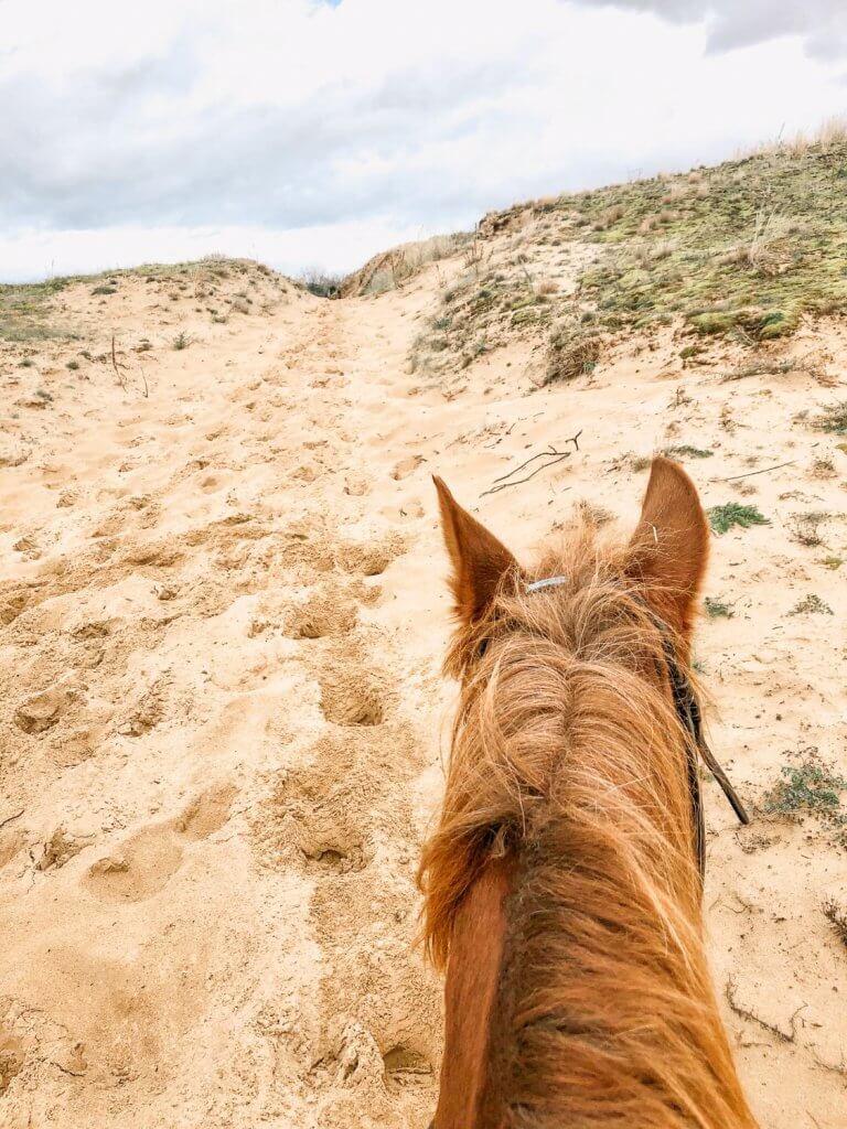Coronaproof paardrijden in de duinen van Koksijde-Oostduinkerke