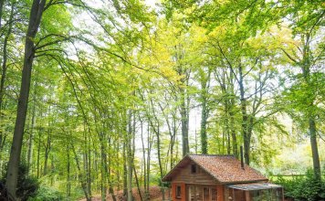 Feathery Forest: boshuisje in de Vlaamse Ardennen voor en door dierenvrienden