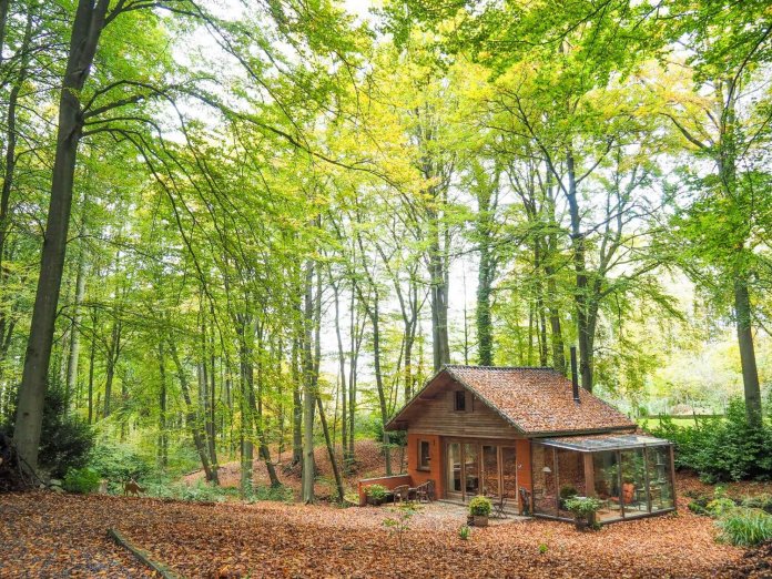 Feathery Forest: boshuisje in de Vlaamse Ardennen voor en door dierenvrienden