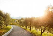 Veneto, Italië voor wie niet kiezen wil Veneto Italië