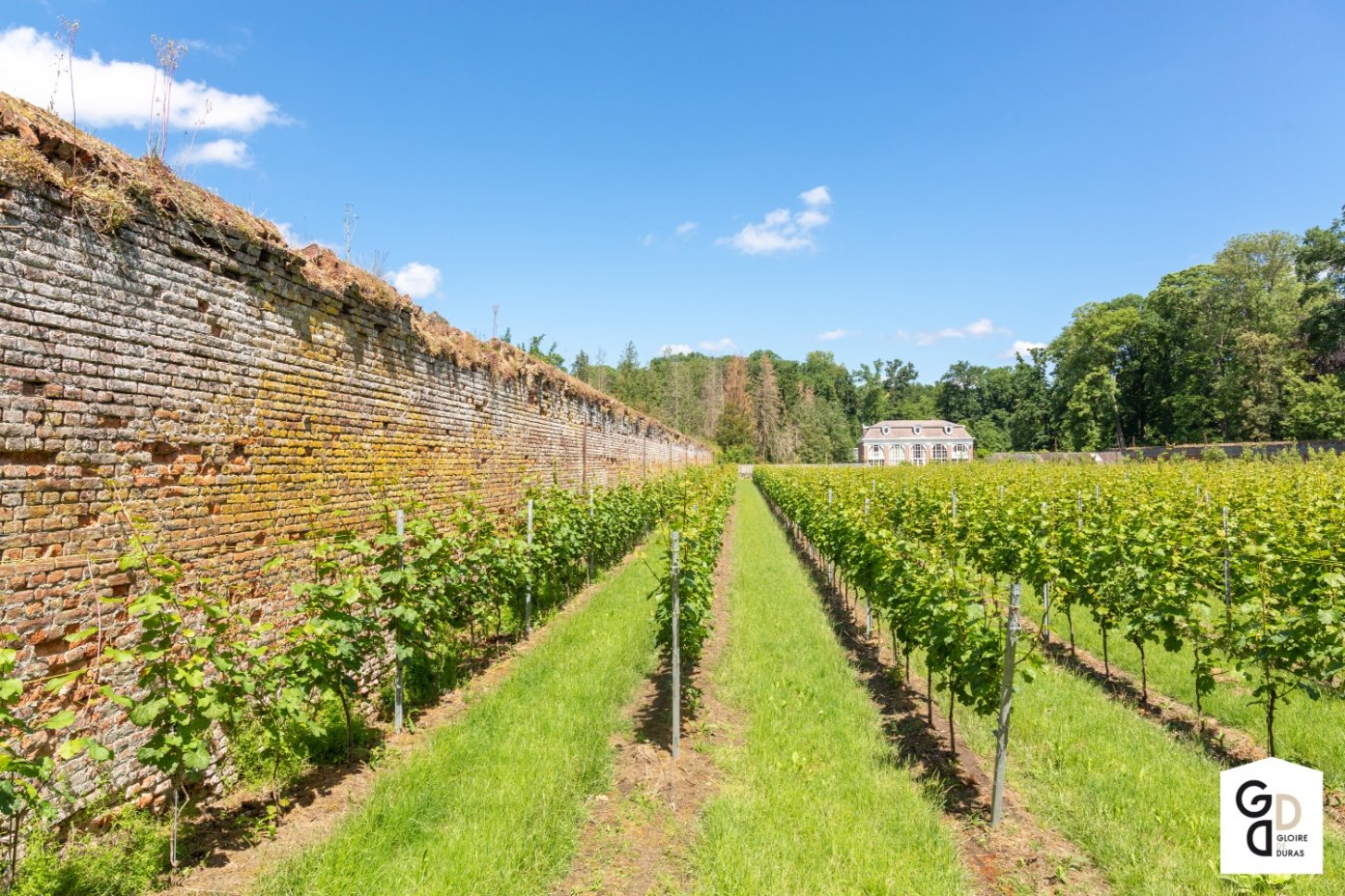 8 wijndomeinen waar je meer kunt dan wijnproeven | VAB-Magazine