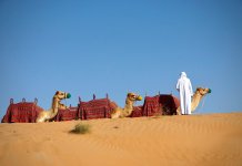 De vele gezichten van Dubai