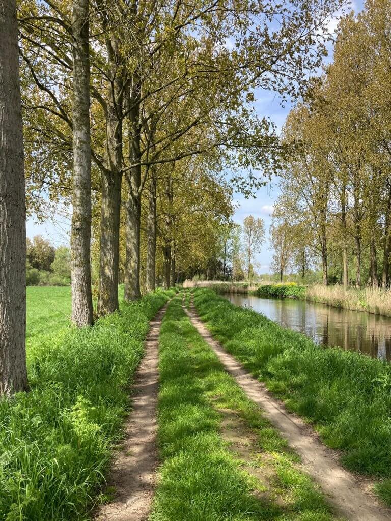 De mooiste wandelroute van Vlaanderen