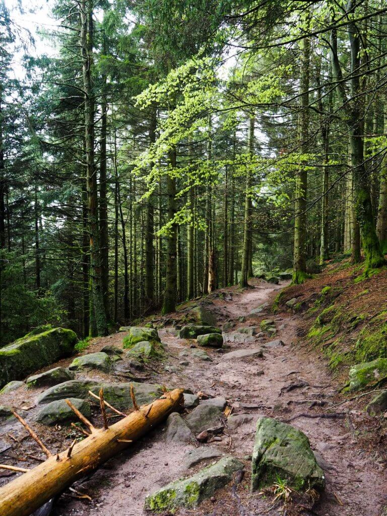 Onze tips in de Elzas