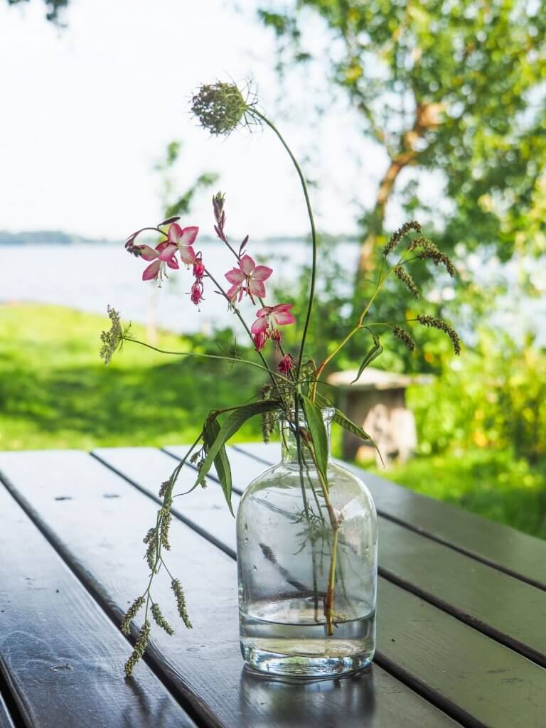 Island Life Vinkeveense Plassen