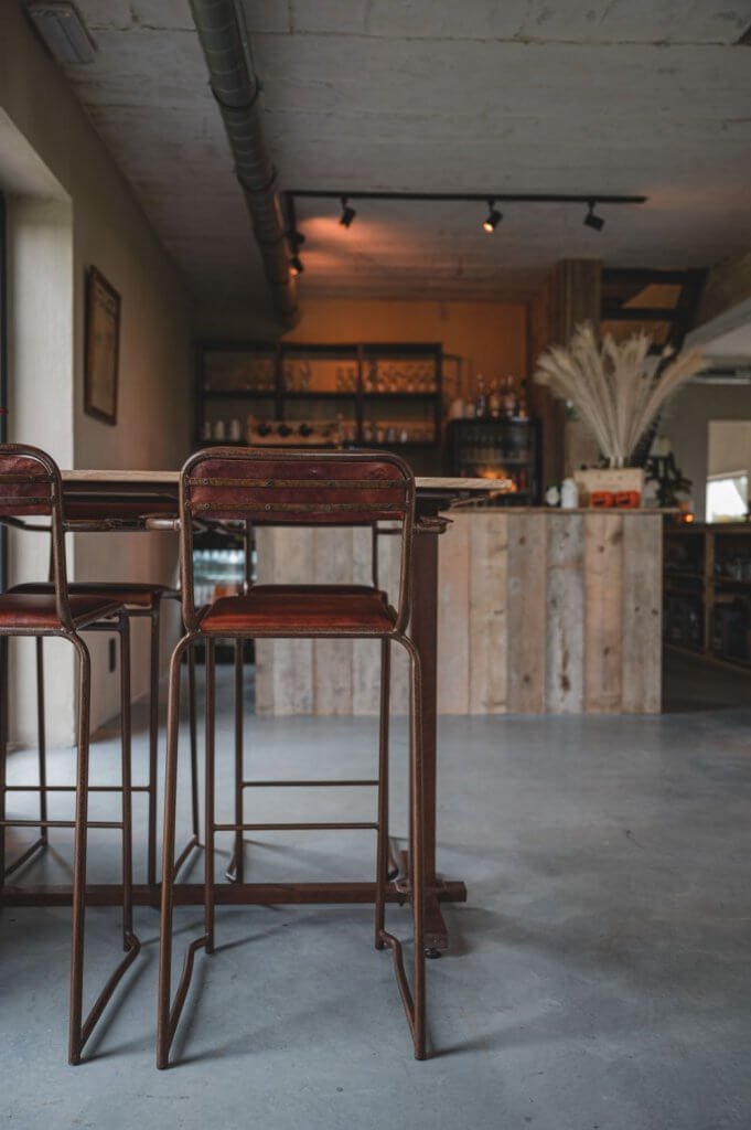 Hier mag je hond mee overnachten in eigen land