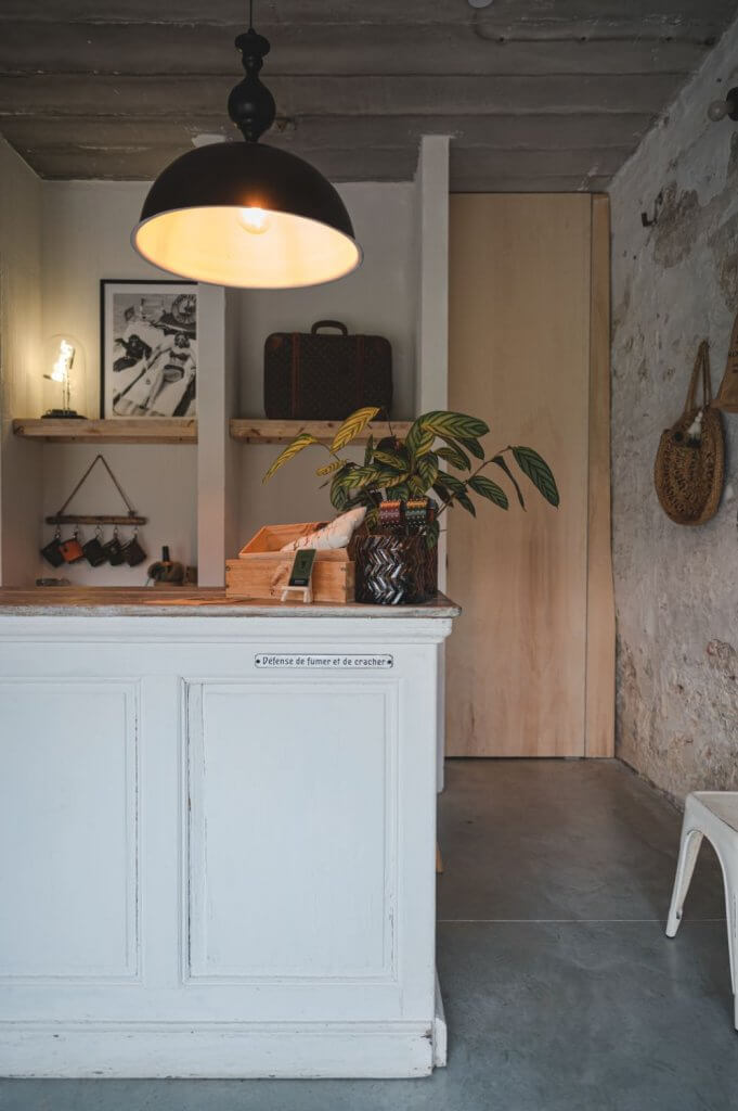 Hier mag je hond mee overnachten in eigen land