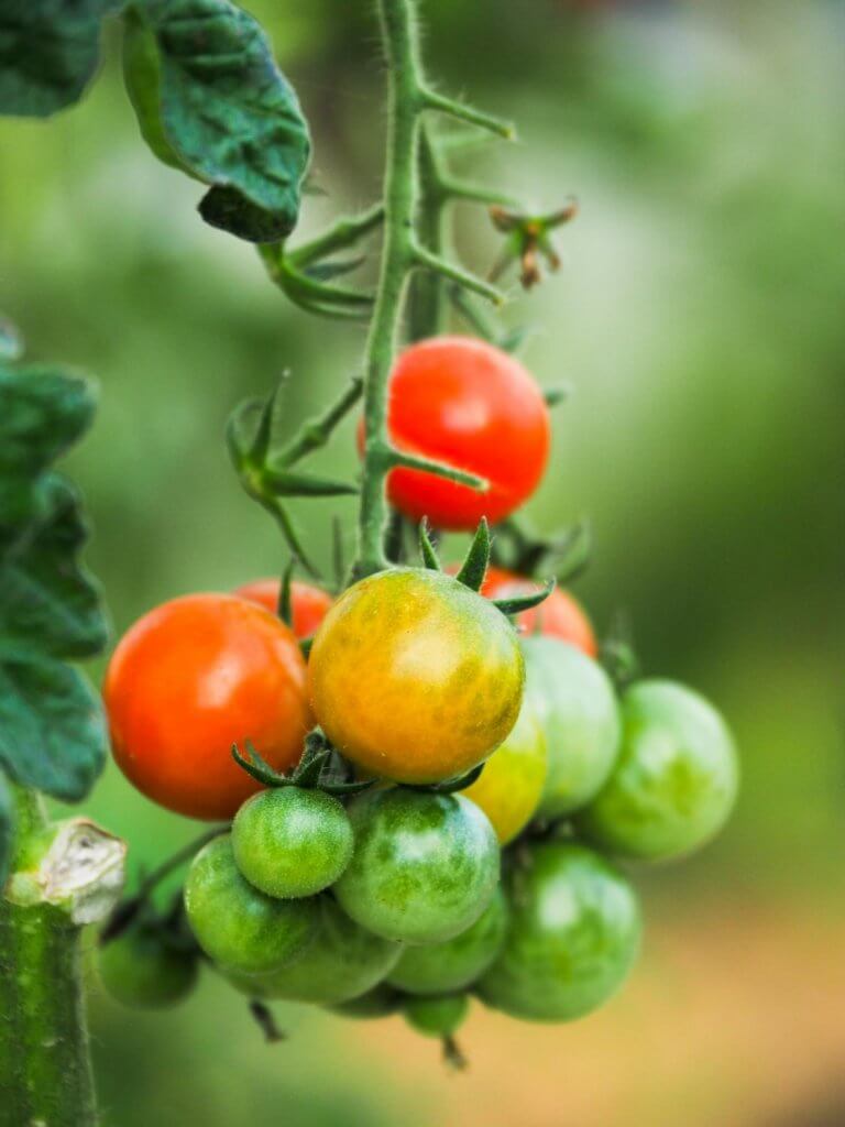 Het onbekende Slovenië