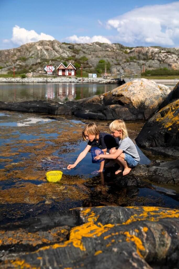 Roadtrip Zweden kinderen
