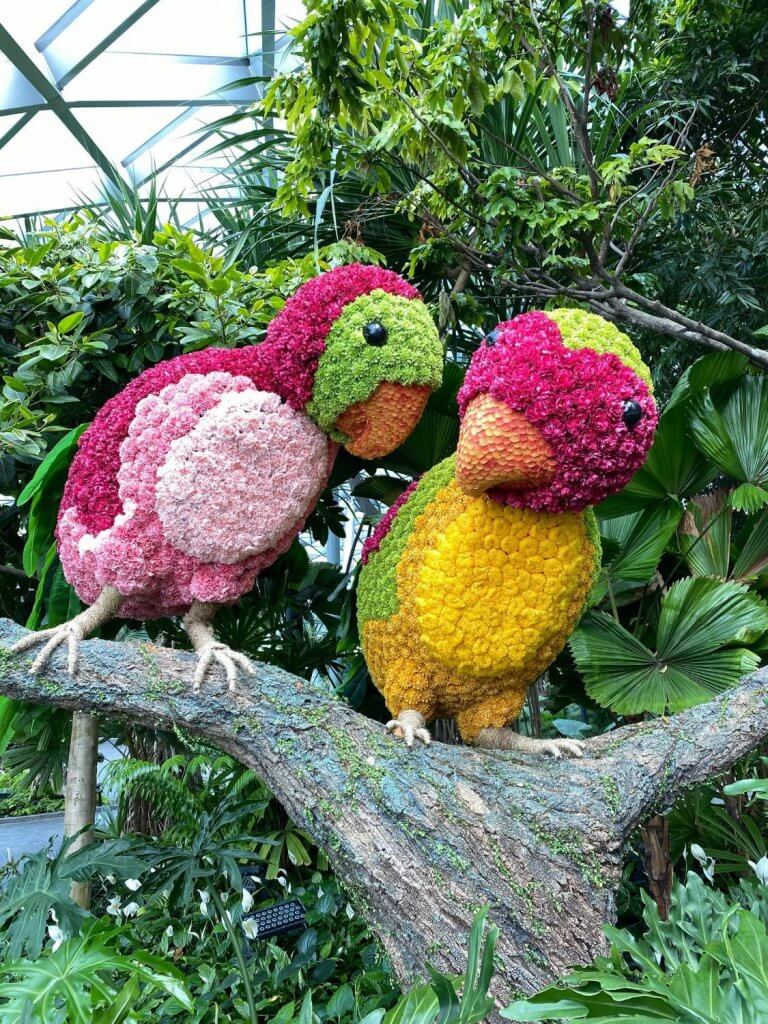 Bijzondere luchthavens