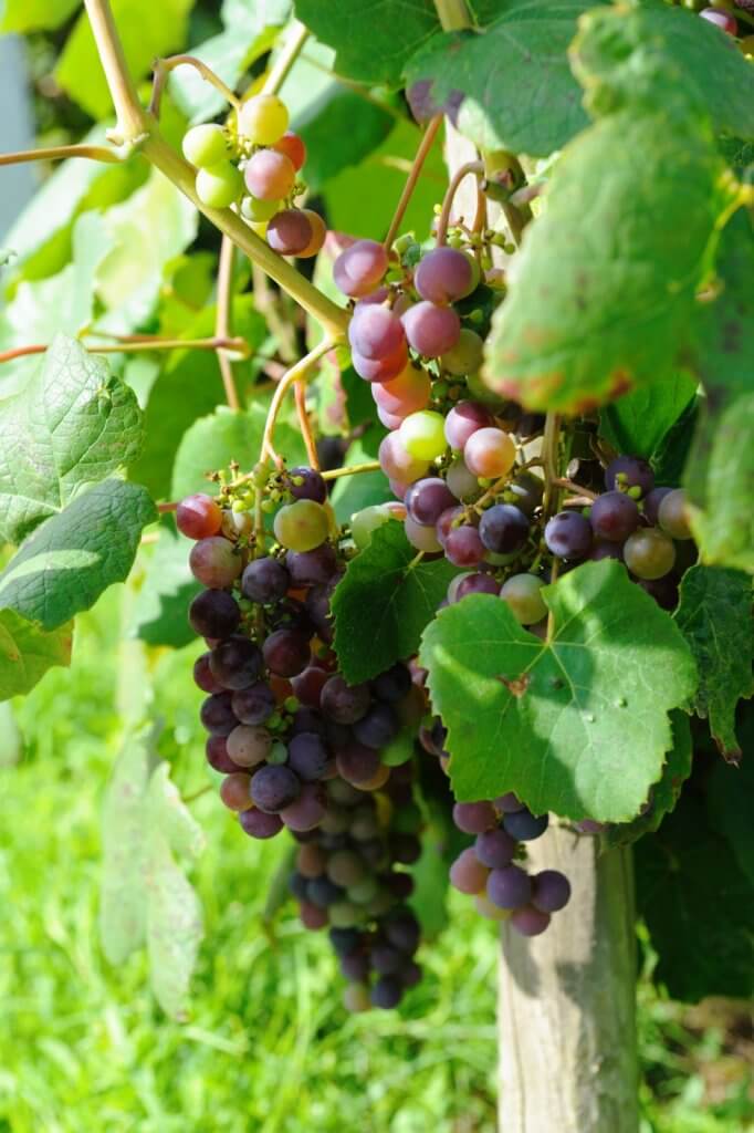 Mooiste dorpen Wallonië