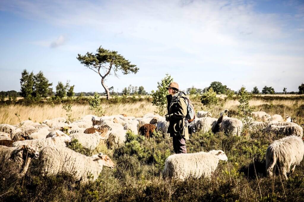 mooiste wandelingen najaar