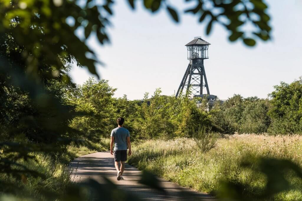 mooiste wandelingen najaar