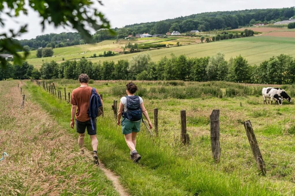 mooiste wandelingen najaar