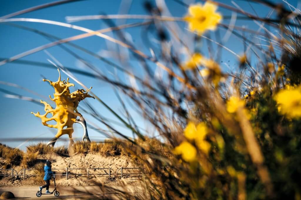 mooiste wandelingen najaar