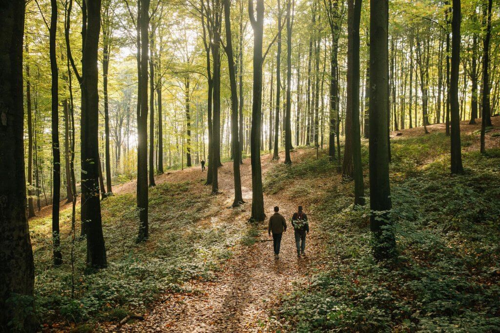 mooiste wandelingen najaar