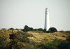 Waddeneilanden wandelen op Schiermonnikoog