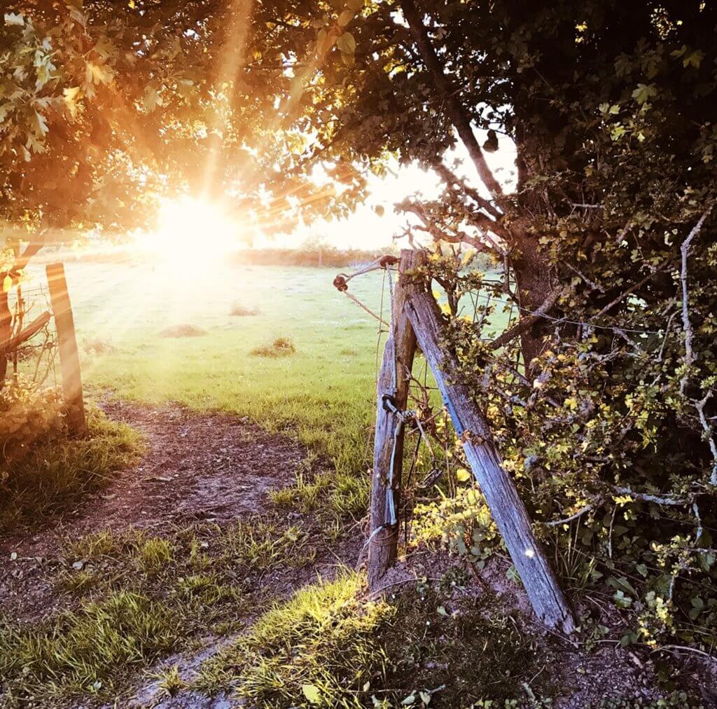 Vakantiehuis Onder de Wol