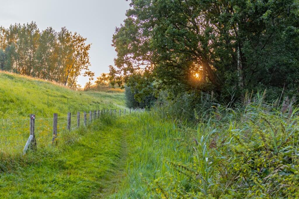 Fietsroute Dwars door Nationaal Park Scheldevallei