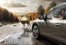 Zijn all-seasonbanden de juiste keuze voor jouw auto? all-seasonbanden