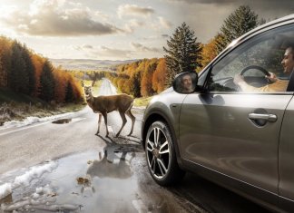 Zijn all-seasonbanden de juiste keuze voor jouw auto? all-seasonbanden