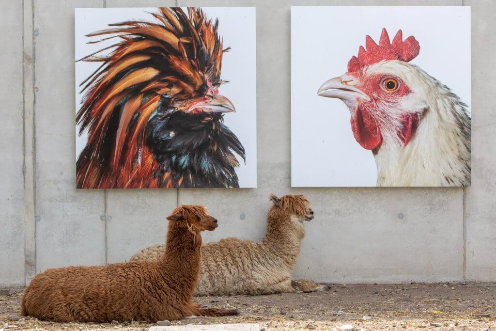 Buitengewone plekken België