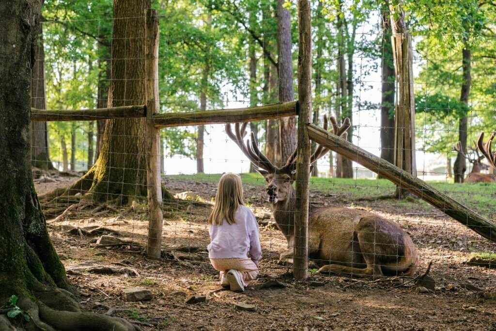 Buitengewone plekken België