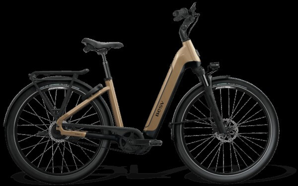 BESV-CT-B-1 | € 4499