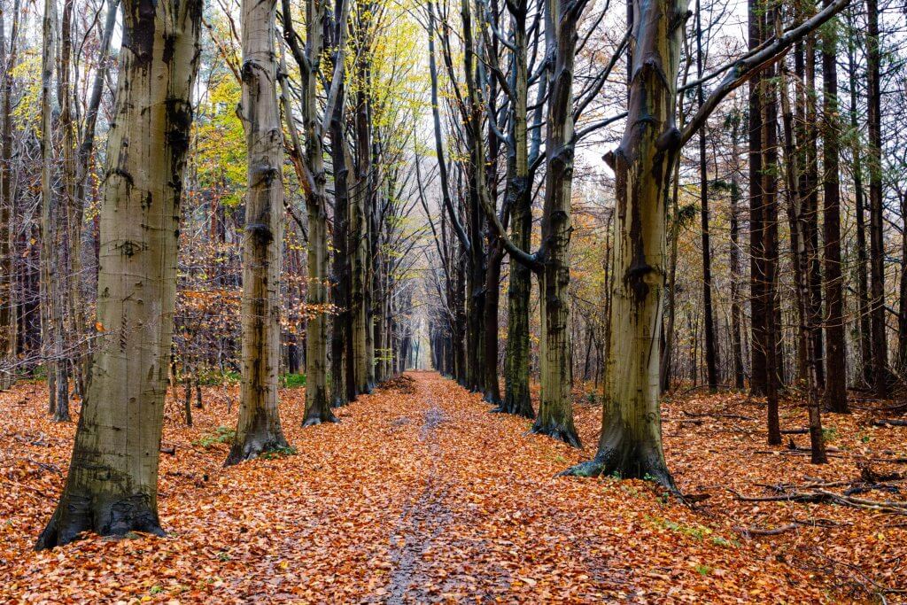 Wandelroutes Vlaanderen