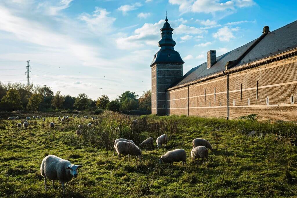Wandelroutes Vlaanderen