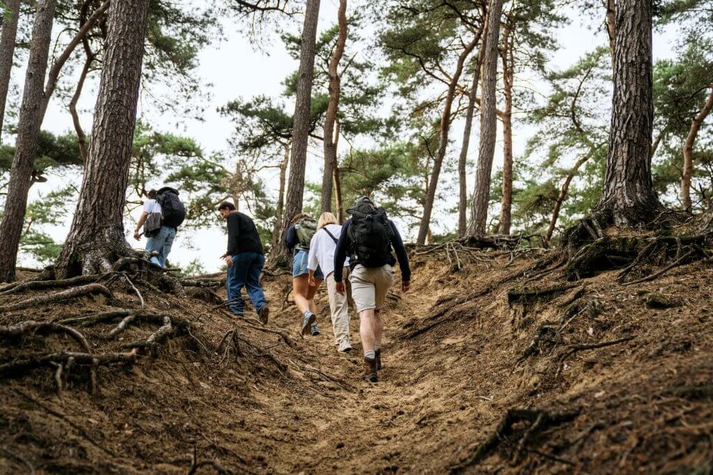 Wandelroutes Vlaanderen